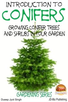 Introduction to Conifers: Growing Conifer Trees and Shrubs in Your Garden