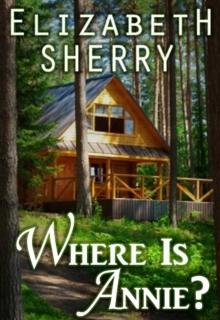 Where Is Annie (Return to The Aspens Book 1)