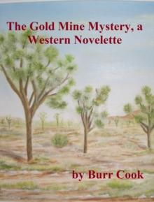 Gold Mine Mystery, a Western Novelette