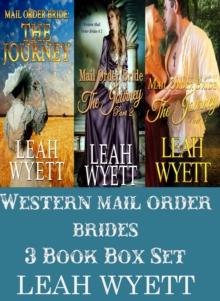 Western Mail Order Brides: 3 Book Box Set