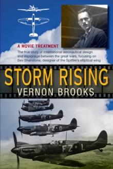 Storm Rising: A Movie Treatment