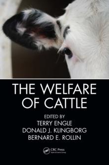 The Welfare of Cattle