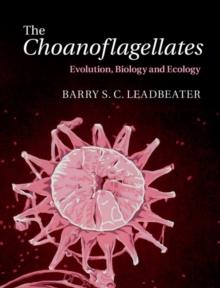 Choanoflagellates : Evolution, Biology and Ecology