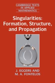 Singularities: Formation, Structure, and Propagation