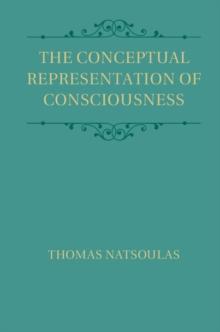 Conceptual Representation of Consciousness