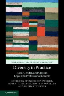 Diversity in Practice : Race, Gender, and Class in Legal and Professional Careers