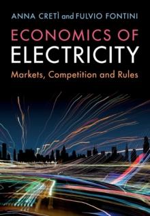 Economics of Electricity : Markets, Competition and Rules