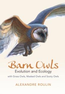 Barn Owls : Evolution and Ecology