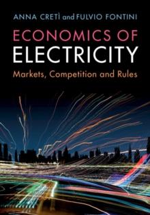 Economics of Electricity : Markets, Competition and Rules