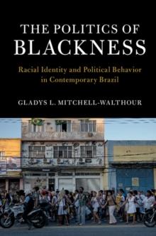 Politics of Blackness : Racial Identity and Political Behavior in Contemporary Brazil