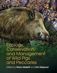 Ecology, Conservation and Management of Wild Pigs and Peccaries