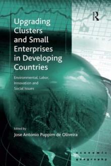 Upgrading Clusters and Small Enterprises in Developing Countries : Environmental, Labor, Innovation and Social Issues