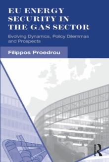 EU Energy Security in the Gas Sector : Evolving Dynamics, Policy Dilemmas and Prospects