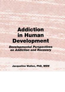 Addiction in Human Development : Developmental Perspectives on Addiction and Recovery