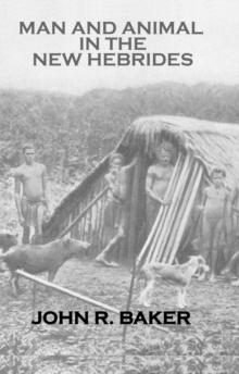 Man & Animals In New Hebrides