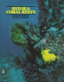 Red Sea Coral Reefs