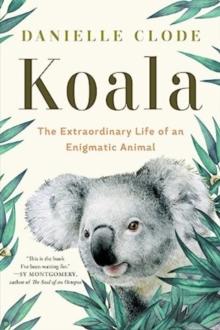 Koala : The Extraordinary Life of an Enigmatic Animal