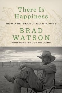 There Is Happiness : New and Selected Stories