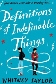 Definitions of Indefinable Things