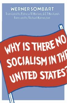 Why is there no Socialism in the United States?