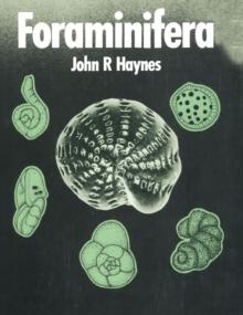 Foraminifera