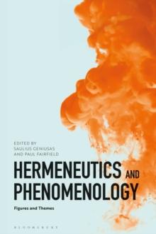 Hermeneutics and Phenomenology : Figures and Themes