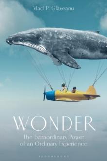 Wonder : The Extraordinary Power of an Ordinary Experience