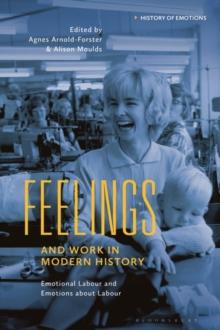 Feelings and Work in Modern History : Emotional Labour and Emotions about Labour