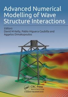 Advanced Numerical Modelling of Wave Structure Interaction