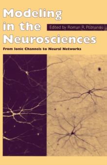 Modeling in the Neurosciences : From Ionic Channels to Neural Networks