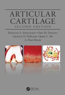 Articular Cartilage