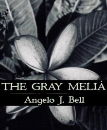 Gray Melia