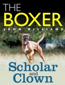 Boxer: Scholar and Clown