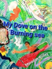 My Dove on the Burning Sea