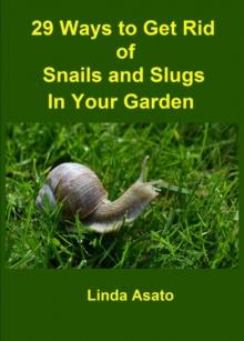 29 Ways to Get Rid of Snails and Slugs in Your Garden