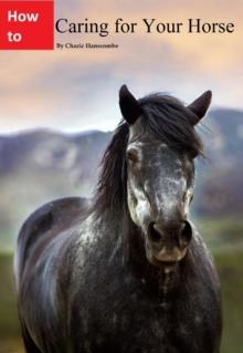 Caring for Your Horse