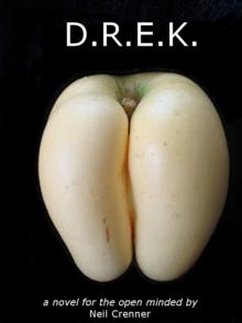 D.R.E.K. A Novel for the Open Minded