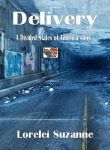 Delivery : The Divided States of America, #11