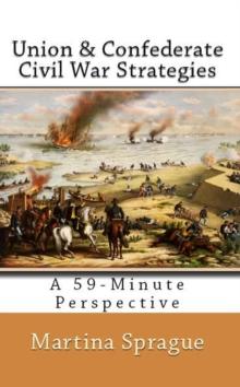 Union and Confederate Civil War Strategies