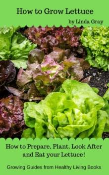 How to Grow Lettuce