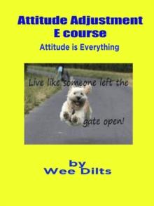 Attitude Adjustment E course