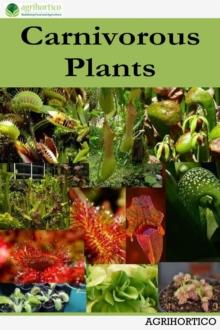 Carnivorous Plants