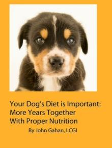 Your Dog's Diet is Important: More Years Together With Proper Nutrition