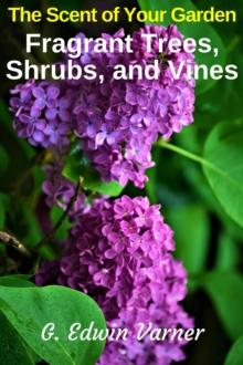 Scent of Your Garden: Fragrant Trees, Shrubs, and Vines