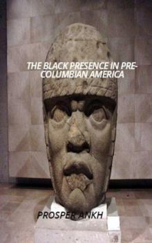 Black Presence In Pre-Columbian America