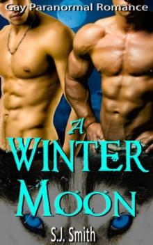 Winter Moon - Gay Paranormal Romance