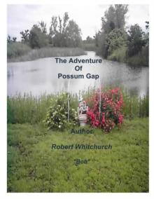 Adventure of Possum Gap