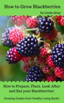 How to Grow Blackberries