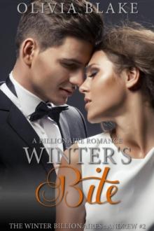 Winter's Bite: A Billionaire Romance