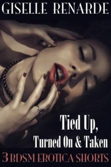 Tied Up, Turned On and Taken: 3 BDSM Erotica Shorts